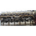 Двигатель BMW 5-Series 5-serie F10/F11 2009-2016 Двигатель BMW 5-Series 5-serie F10/F11 2009-2016
