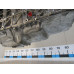 Двигатель BMW 2-Series 2-serie F22/F23/F87 2013-2020