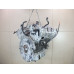 Двигатель Tank 500 500 2021>