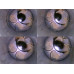 Двигатель Lexus GS GS 250/350/300H 2012-2020