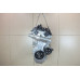 Двигатель Haval Jolion Jolion 2021>