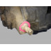 Двигатель Renault Duster Duster 2010-2021