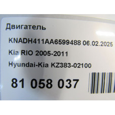Двигатель RIO 2005-2011 (1.4Л. 16V) Двигатель RIO 2005-2011 (1.4Л. 16V)
